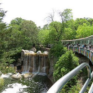 Wilds of Africa - Monorail Safari - River Exhibit for Waterbuck and Birds