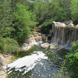 Wilds of Africa - Monorail Safari - River Exhibit for Waterbuck and Birds