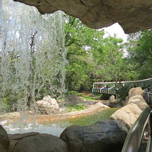 Wilds of Africa - Monorail Safari - River Exhibit for Waterbuck and Birds