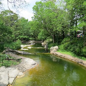 Wilds of Africa - Monorail Safari - River Exhibit for Waterbuck and Birds