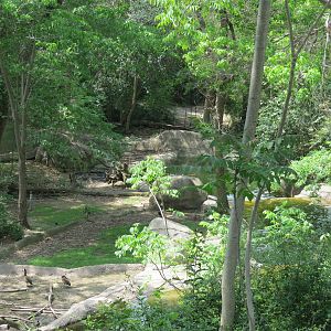 Wilds of Africa - Monorail Safari - River Exhibit for Waterbuck and Birds