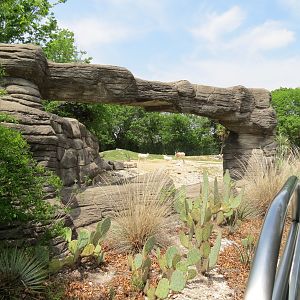 Wilds of Africa - Monorail Safari - Desert Exhibit for Addax