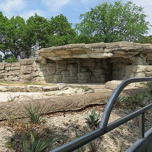 Wilds of Africa - Monorail Safari - Desert Exhibit for Addax