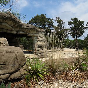 Wilds of Africa - Monorail Safari - Semi-arid Desert Exhibit for Gemsbok, A