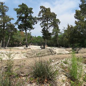 Wilds of Africa - Monorail Safari - Semi-arid Desert Exhibit for Gemsbok, A
