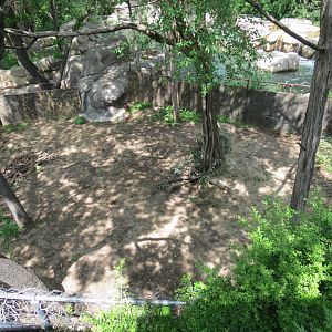 Wilds of Africa - Monorail Safari - Future Warthog Exhibit