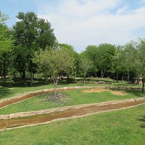 Wilds of Africa - Monorail Safari - Bush Exhibit for Antelope and Birds