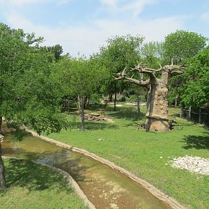 Wilds of Africa - Monorail Safari - Bush Exhibit for Antelope and Birds