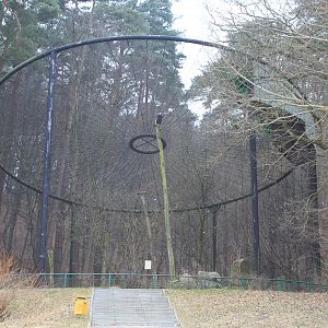 Aviary for Andean Condors (Vultur gryphus)