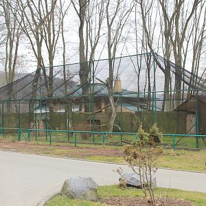 Crowned Cranes aviary