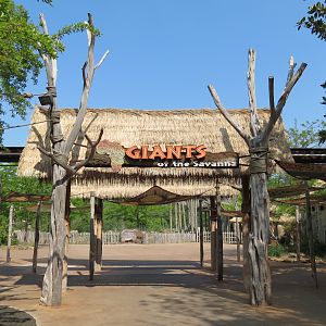 Giants of the Savanna - Entry