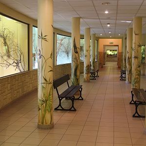 Inside Birds and Reptiles Pavilion