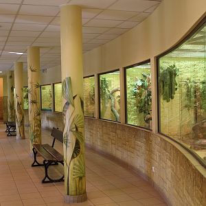 Inside Birds and Reptiles Pavilion
