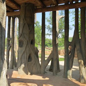 Giants of the Savanna - Tembo Udango (Primary African Elephant Exhibit)
