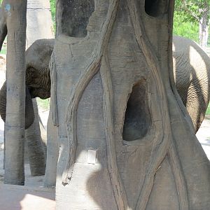 Giants of the Savanna - Tembo Udango (Primary African Elephant Exhibit)