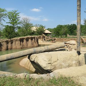 Giants of the Savanna - Tembo Udango (Primary African Elephant Exhibit)