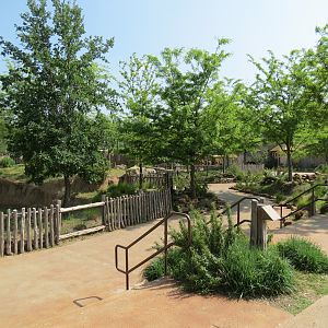 Giants of the Savanna - Tembo Udango (Primary African Elephant Exhibit)
