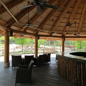 Giants of the Savanna - Safari Base Camp