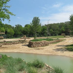 Giants of the Savanna - South Habitat (African Elephant)