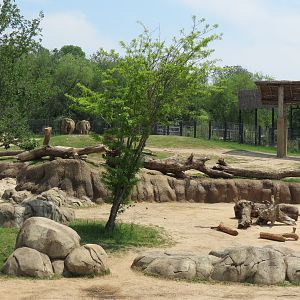 Giants of the Savanna - South Habitat (African Elephant)