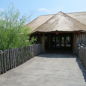 Giants of the Savanna - Safari Base Camp