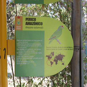 amazon parrot sign san juan d e aragon zoo