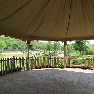 Giants of the Savanna - Viewing Pavilion