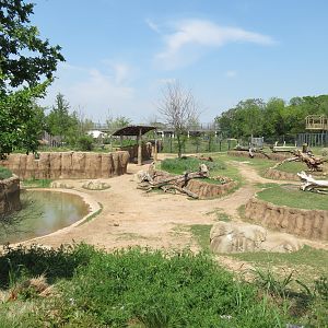 Giants of the Savanna - North Habitat (Mixed Species)