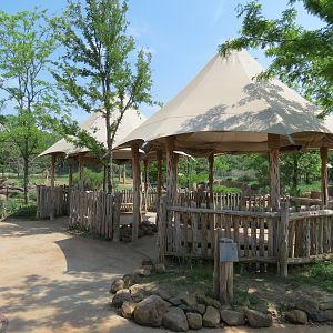 Giants of the Savanna - North Habitat (Mixed Species)