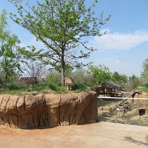 Giants of the Savanna - Donga 2 (Warthog Exhibit)