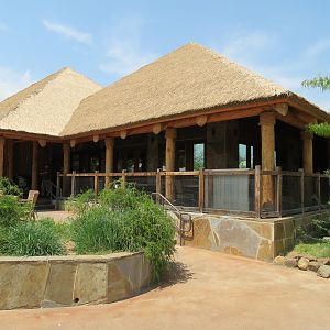 Giants of the Savanna - Serengeti Grill
