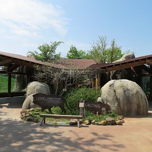 Giants of the Savanna - Viewing Shelter for Lion and Cheetah Exhibits