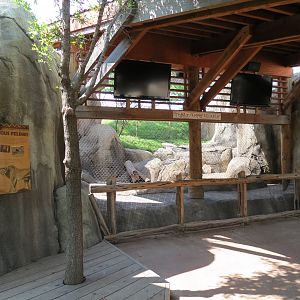 Giants of the Savanna - Predator/Keeper Encounter Exhibit