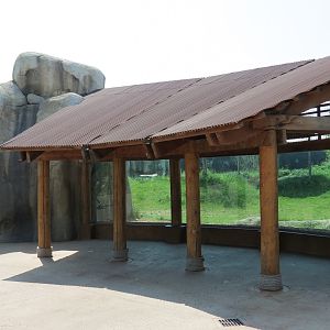Giants of the Savanna - Cheetah Exhibit