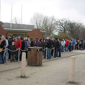 Queue at the ticket office Chester Zoo 8th March 2014