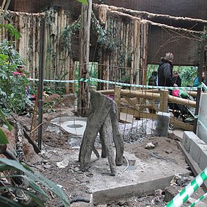 Construction of leaf-cutter ant exhibit Chester Zoo 8 March 2014