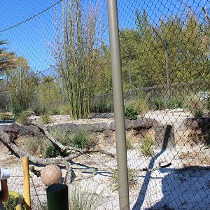 Land of the Tiger - Tiger Exhibit #1