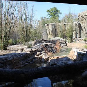 Land of the Tiger - Tiger Exhibit #2