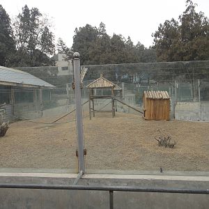 Capuchin monkey exhibit