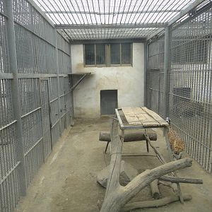 Leopard enclosure
