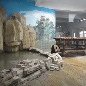 Panda enclosure
