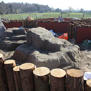 New Meerkat/Mongoose enclosures.