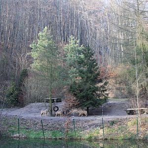Wolf enclosure