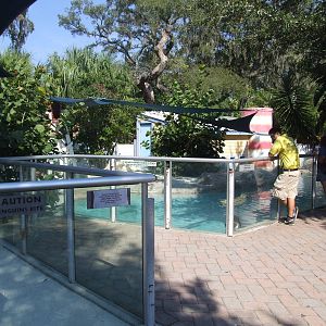 Penguin Enclosure at Lowry Park, 13/10/13