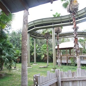 Wild Turkey Enclosure with Water Ride at Lowry Park, 13/10/13
