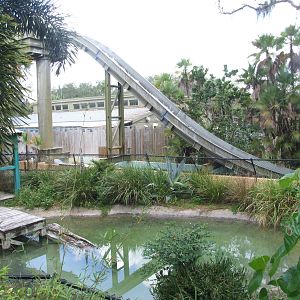 Crocodile Enclosure and Water Ride at Lowry Park, 13/10/13