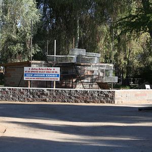 jaguar exhibit construction