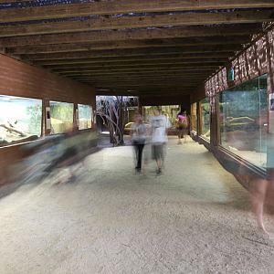 Dragon World large reptiles