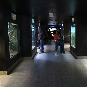 small mammal building