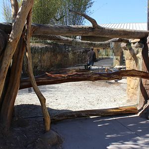 Land of the Tiger - Babirusa/Asian Small Clawed Otters Exhibit